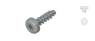 Screws for Plastic, Pan head with TX-drive, WN1452, STP 39 A